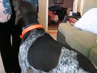Ai Animal Sex Videos