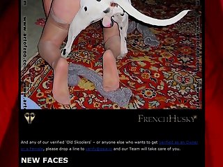 Zoofilia Lick Pussy