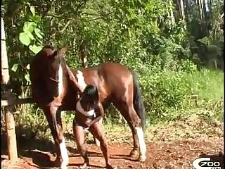 Zoofilia Big Ass Porn