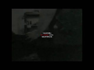 Porno Vidio Animal