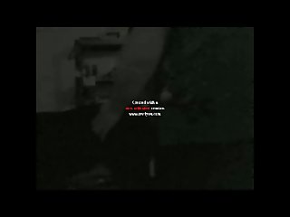 Porno Vidio Animal