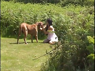 Porno Doido Sexo Com Animal