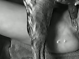 Animal Hd Porno