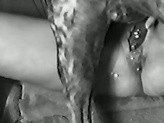 Animal Hd Porno