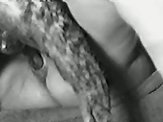 Animal Hd Porno