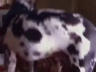 Torbe Carmen Lomana Xxx Porn