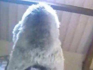 Xxx Sex Orgasm Porn Xxx