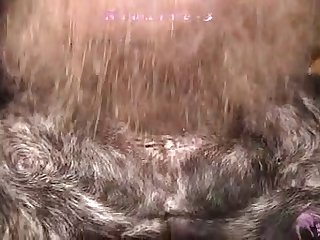 Zoo Porn Horse Gay