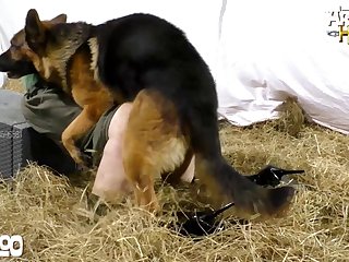 Zoo Porn Twiiter