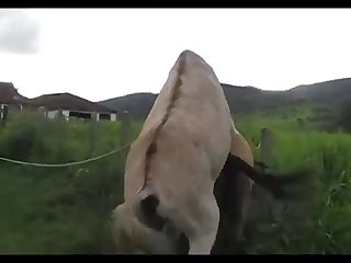Madonna Mare Vs Jack Scene 03