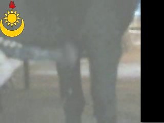 Ponymasturbation