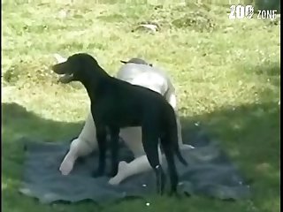 French Girl Dog Porn