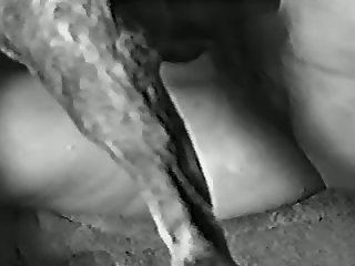 Girl Jerk Off Dog Porn