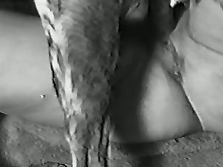 Girl Jerk Off Dog Porn