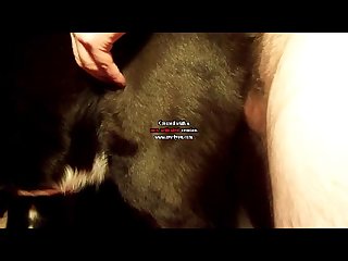 Dog Porn Blonde Girl