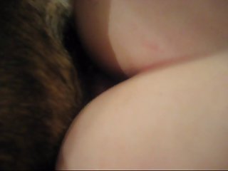 Animal Sex With Other