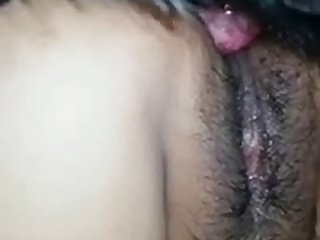 Gay Furry Zoo Porn