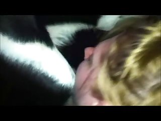 Animal Sex Definition