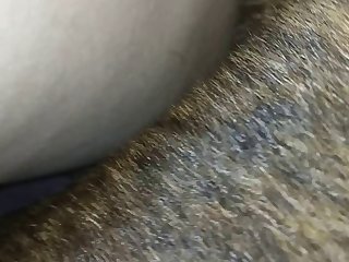 Animal Sex Weman