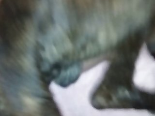 Animal Sex Weman