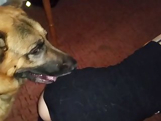 Animal Sex Videos Girls