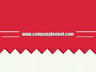 Teen And Animal Sex Videos