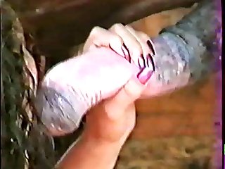 Desi Animal Sex Porn