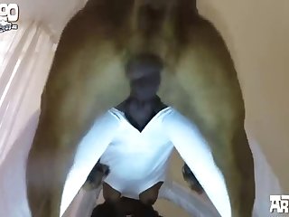 Hatsune Miku Dog Porn
