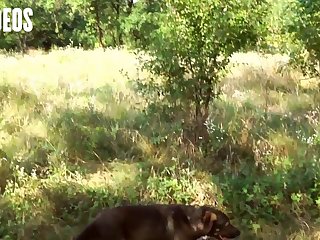 Amys Secret Dog Porn