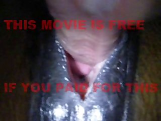 Sucking Dog Porn