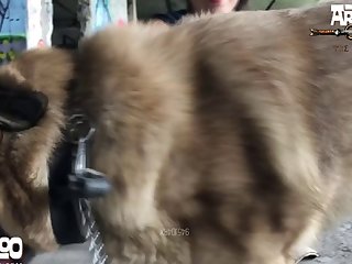 Lise Anal Dog Porn