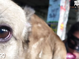 Lise Anal Dog Porn