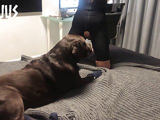 Hun Run Porn