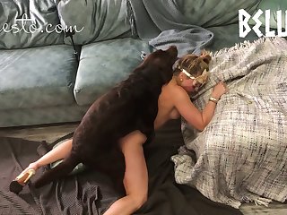 Domestic Dog Porn