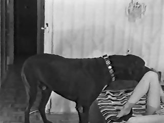 Giant Dog Cock Xxx