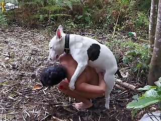 Men Fuck Dog