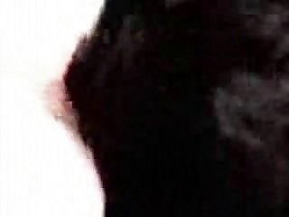 Porno Perro