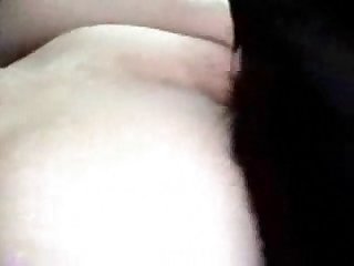 Porno Perro