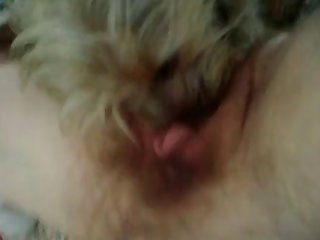 Pussy Licking Pooch