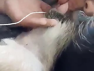 Zoosbook