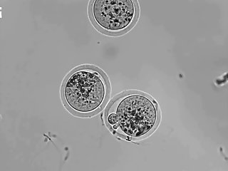 The Fire In My Pussy Was New And Spread Through My Entire Body Like A Wildfire