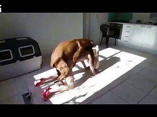 The Fire In My Pussy Was New And Spread Through My Entire Body Like A Wildfire