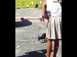 2.dog And Cat Knotted