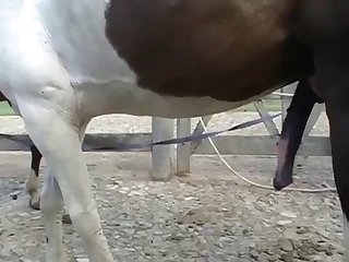 His Pinky Finger Rubbing Her Puckered Asshole As She Came Hard