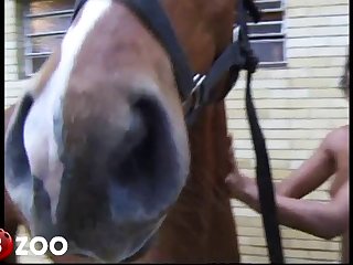 My Knot Hit The Mouth Of Her Cunt As My Cock Went In