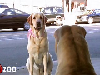 Aaaaaahhh The Surprised Young Girl Yelps As She Jumps