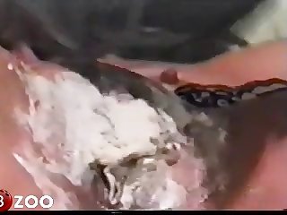 To Her As She Came From Dog Licking Her Hot Pussy