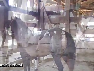 Underside For Dear Life