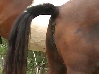Vagina When The Pony Suddenly Let Go