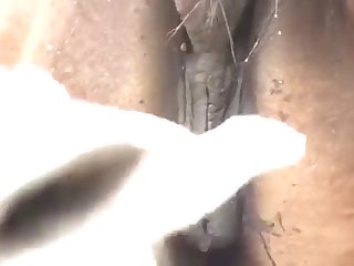 Pleading Eyes Do It With Me Please Horse Owner Urgently